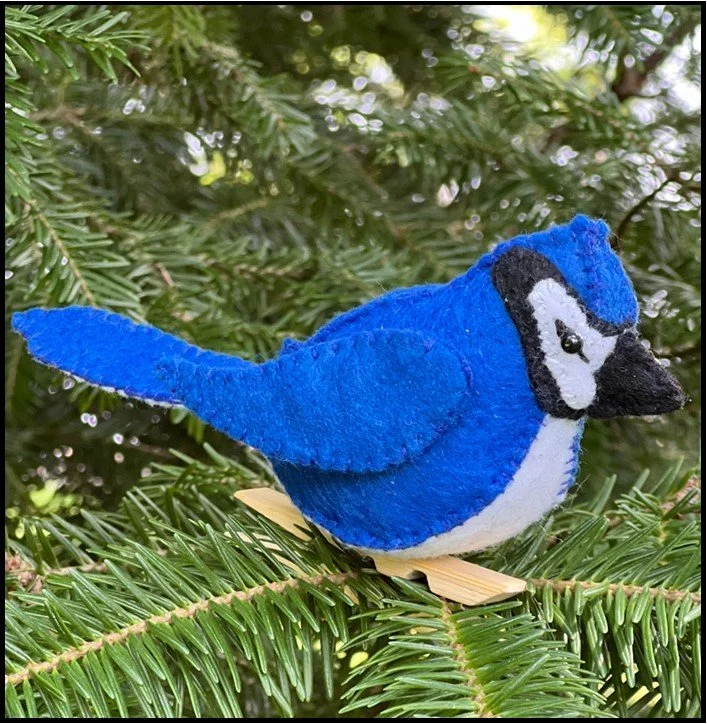 DIY Blue jay Sewing Kit — diy genius by Genius Premium Craft